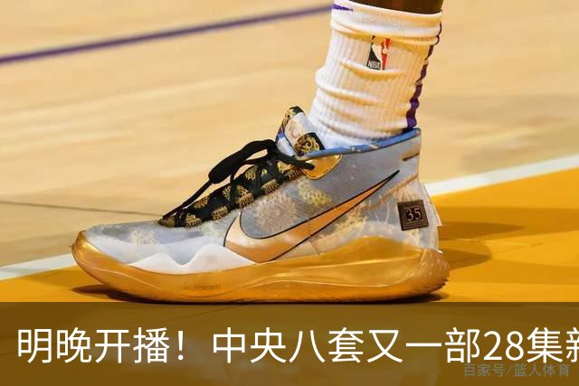 明晚开播！中央八套又一部28集新剧来袭！阵容豪华，又有大剧看了