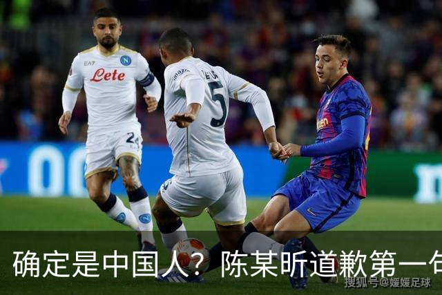 确定是中国人？陈某昕道歉第一句话就“露馅”了，央视公布新进展