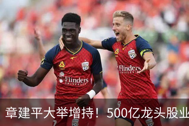 章建平大举增持！500亿龙头股业绩大增超8倍