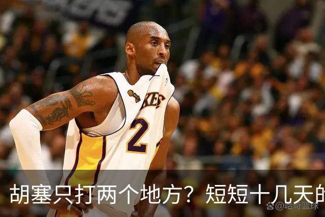 胡塞只打两个地方？短短十几天的时间，沙特或将退到国将不国