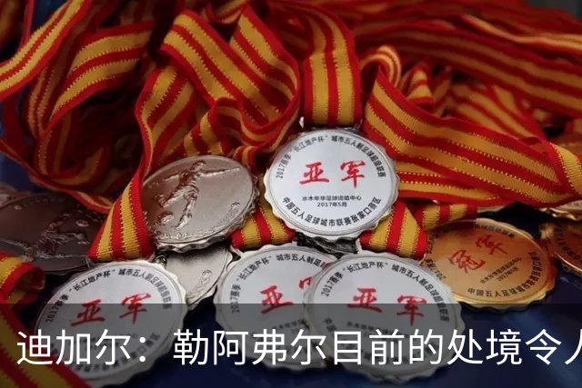 迪加尔：勒阿弗尔目前的处境令人担忧，必须尽快作出回应