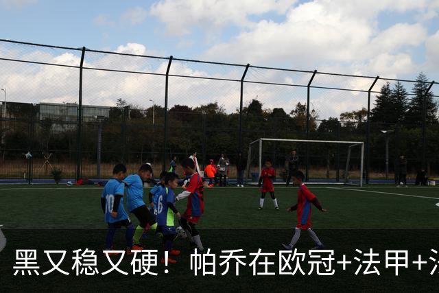 黑又稳又硬！帕乔在欧冠+法甲+法国杯出场100次仅吃2黄牌