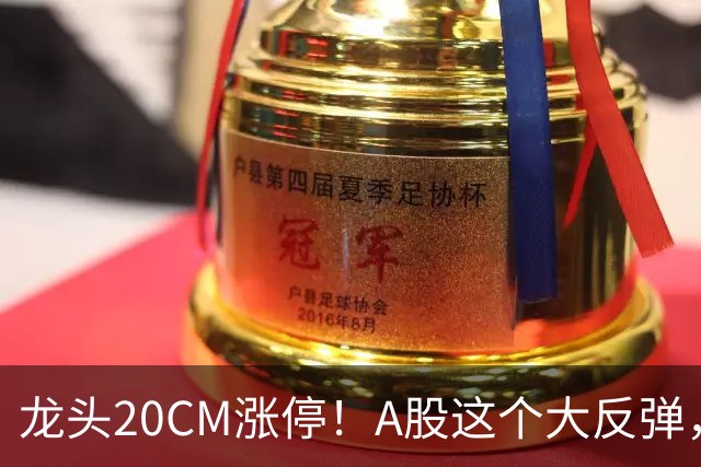 龙头20CM涨停！A股这个大反弹，太提气了！