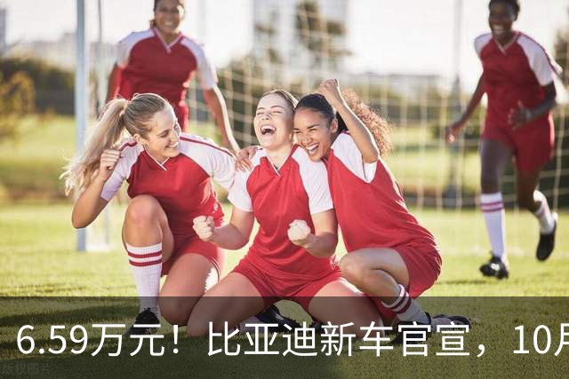 6.59万元！比亚迪新车官宣，10月21日开售